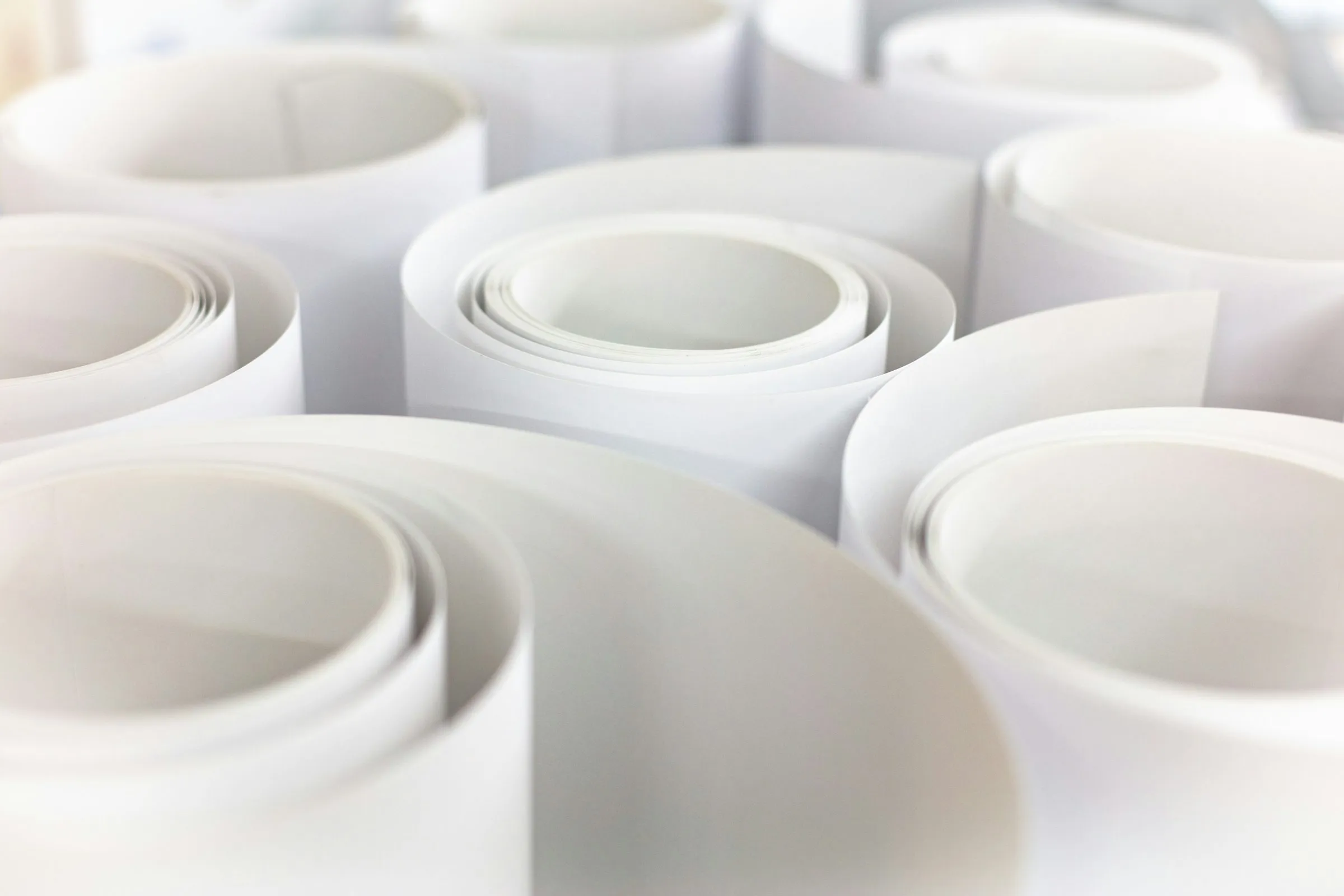 Several rolls of white paper standing on end, close-up with shallow focus.
